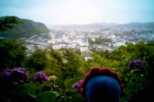 鎌倉のまちがよくみえ……よく……雨でけぶるまちがうっすらみえます。