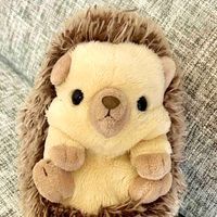 チャプス🦔