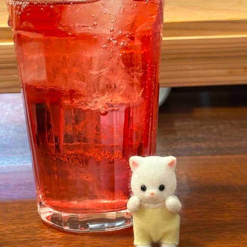 #猫の日

🐱ぼくはね うちのひと とおんなじたんじょうびなんだけど
🐱ぼくとのであいのひは だいすきなおばあちゃんとさいごにあったひ なんだって

🐱だからいつでもいっしょなんだ