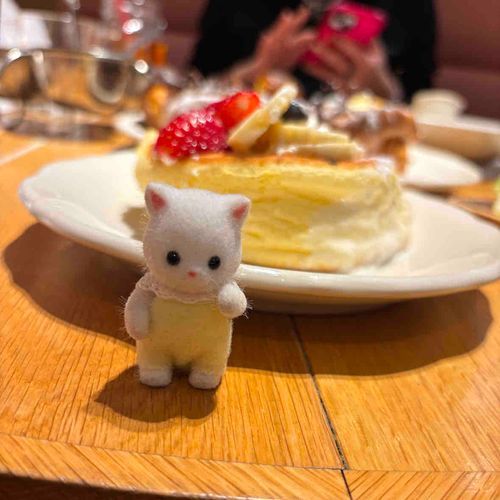 🐱ぱんけき！ぱんけき！