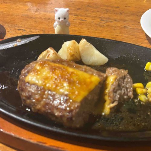 🐱ぼくがみてないあいだに たべはじめたのしってますからね…