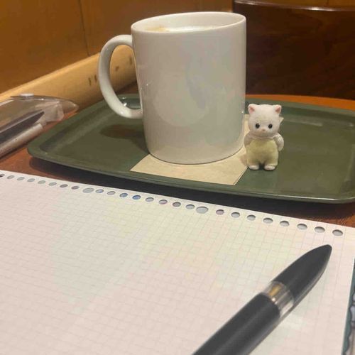 🐱おべんきょのかんとくをしました
ちゃんとみはっています！
