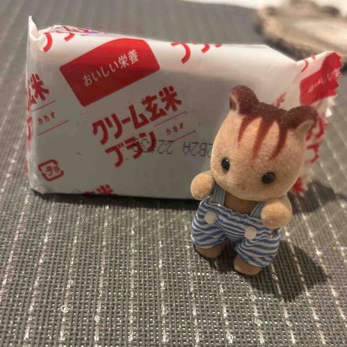 🐿アンブローズです！
🐿このたび、おたんじょうびをむかえました

🐿うちのひとのダイエット？つづいてるせいでケーキなしです
🐿ちょうなんなのでがまんできます…！