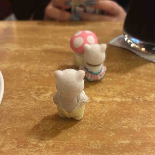 🐱おともだちに…なりたいの…

🚺じっと見るのやめようね〜