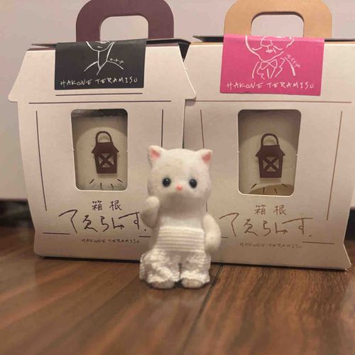🐱ちらみす！

🚺う〜んニアミス