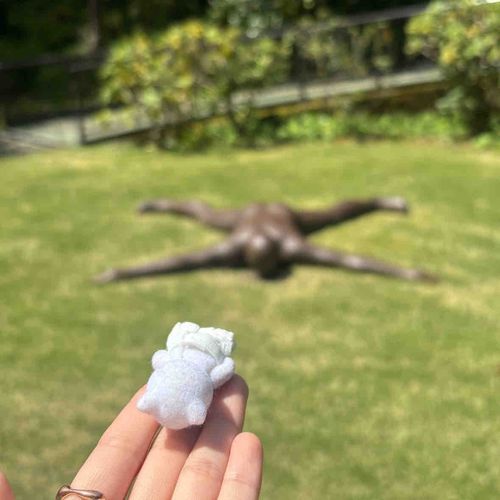 🐱おなじぽず…