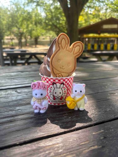 🐱おひさしぶりです！

🐱さいきんは、うちのひととぱーく？いってました！