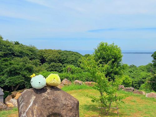 離島に行ってきたよ☀️