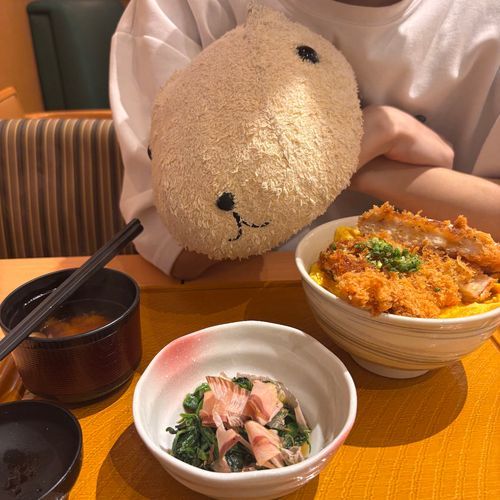 カツ丼よりもほうれん草が気になるみに