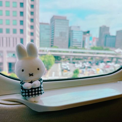 今日は新幹線で東京まで行ってきたよ！