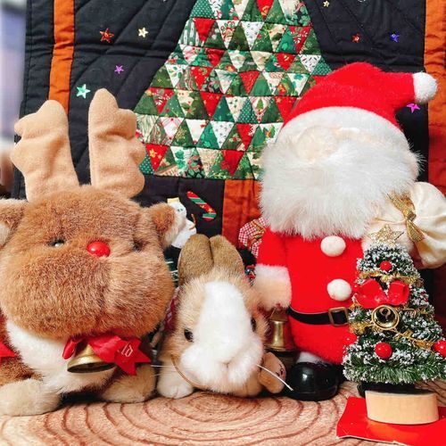 メリークリスマス！
うさの家にサンタさんたちが来てくれたの！うれしくて記念にお写真をとってもらったわ！
プレゼントももらったの🎵
サンタさん、トナカイさん、ありがとう！