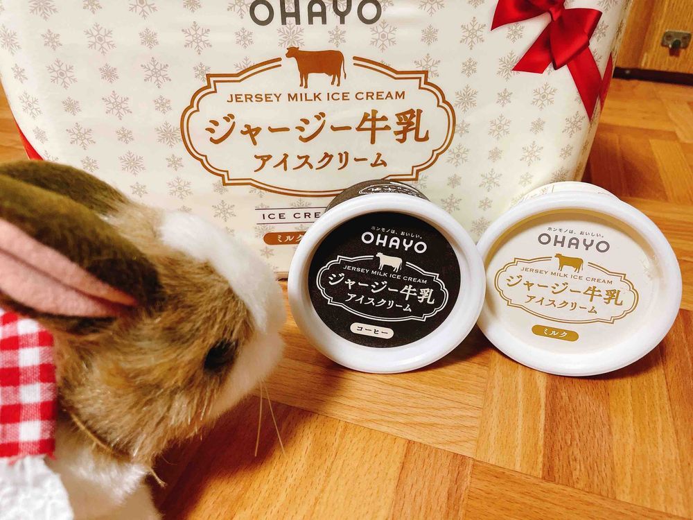 メリークリスマス！
うさの家にサンタさんたちが来てくれたの！うれしくて記念にお写真をとってもらったわ！
プレゼントももらったの🎵
サンタさん、トナカイさん、ありがとう！