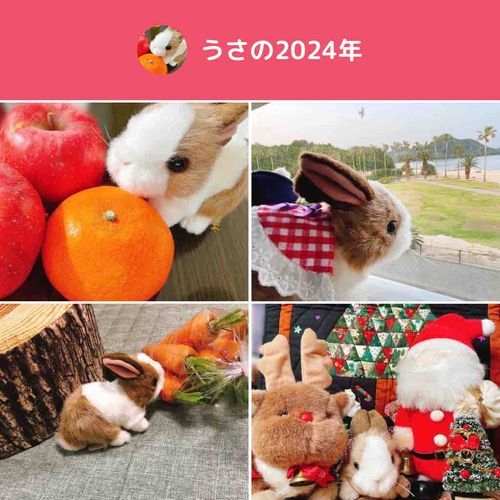 たくさんのいいね、フォロー、コメントありがとう！はじめたばかりのうさと仲良くしてくれてうれしかったです！
来年もよろしくお願いします！🐰