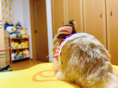 もうすぐお引っ越し！
ここからの眺めもあと少し…