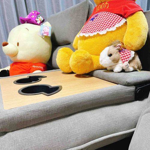 お引っ越ししたらカーペットがなくなって、新しいソファになったの。まだ全然慣れなくて落ち着かないわ…