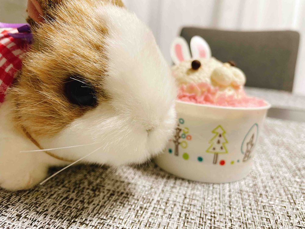 これは……うさのケーキ！