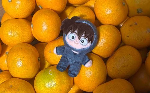 今年のふるさと納税返礼品のみかん🍊