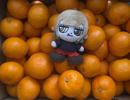 ふるさと納税のみかん（二箱目）が届いた〜🍊