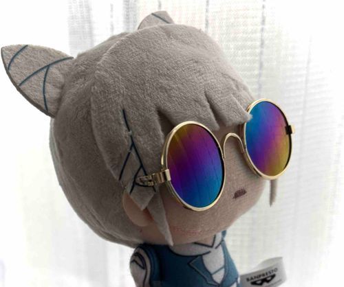 ご機嫌サングラスを手に入れた！