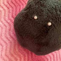 はにーちゃんち