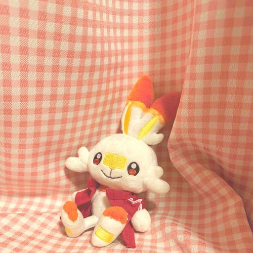 うんどうかいの　じきだね〜