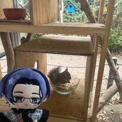 このまえのおでかけの　りす