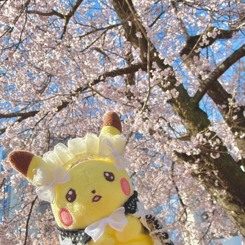 おはなのじきですねえ