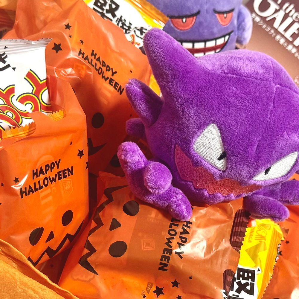 ごそ…ごそ… 準備は終わったのか？お菓子もう一つ入れてやろうかな