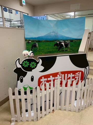 🚀と🃏をさがせ