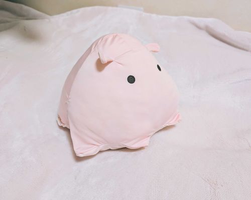 ふとん乾燥機してるふとんのうえに乗るのがしゅみ

おもちは大体いつもひんやりしてるので、温度差でととのう
ちょっともこってなるのも悪くない