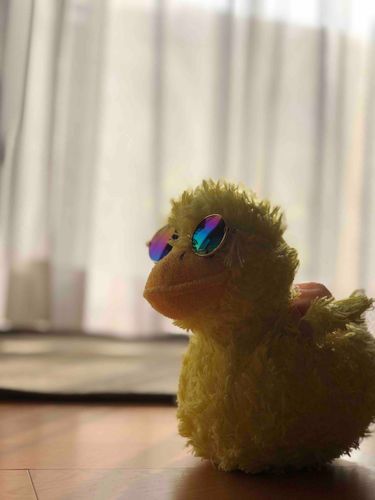 ｸﾞﾝﾏｰはとてもあたたかｱﾋねぇ