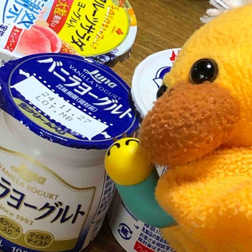ｮ〜ｸﾞﾙﾄ!
