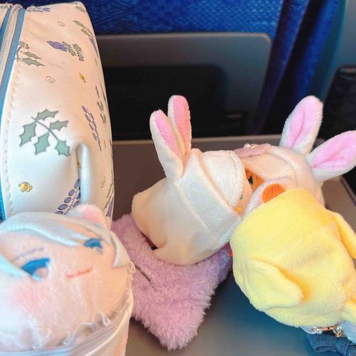 せんじつたゃたちのかいごうをおこなったのゃ！ほんかのかわいいえぴそーどをかたりつづけたのゃ。ほんかにはぜっ〜たいないしょのかいなのゃ🥳