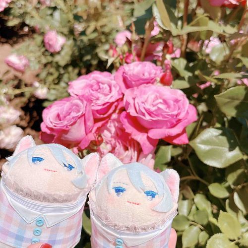 おはなのようにかわいいちょぎくんたち…かわいい…🫶
