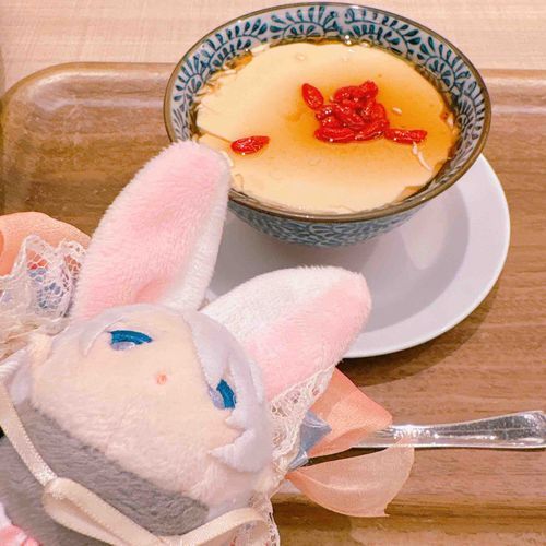 ぷるぷるとうふぁとぷるぷるこちょぎちゃん…どっちもおいしそう…🤤（こひげ）