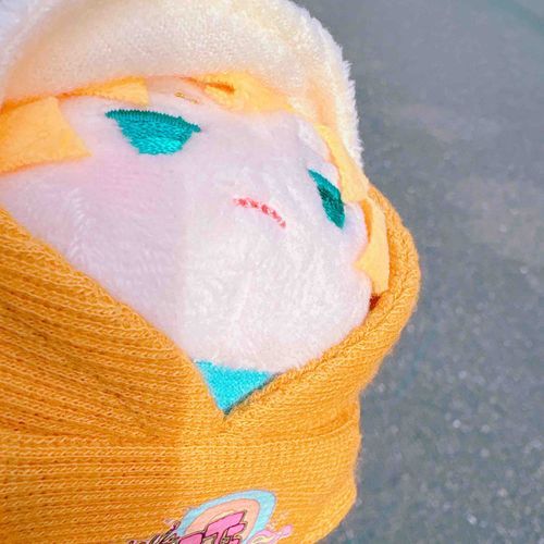 あさひをあびながらおでかけするのゃ。ひさびさのしんかんせん わくわくするのゃ🚅