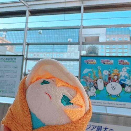 きのうはかけあしできょうとにいってきたのゃ🏃あっというますぎてきづいたらかえりのしんかんせんだったのゃ。またこんどゆっくりいきたいのゃ〜
