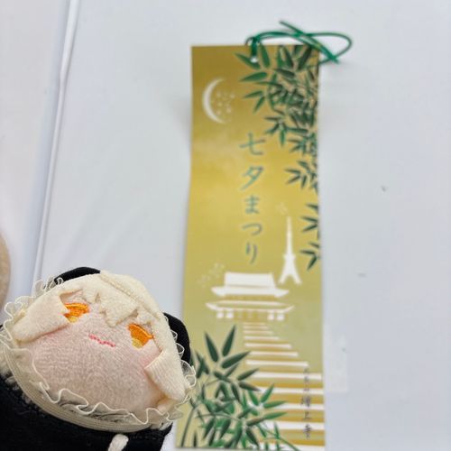 もちひげからおでかけのしゃめがおくられてきた…🎋✨ぼくたちきょうだいいろのたんざくだって…すてき…✨🦁🐍