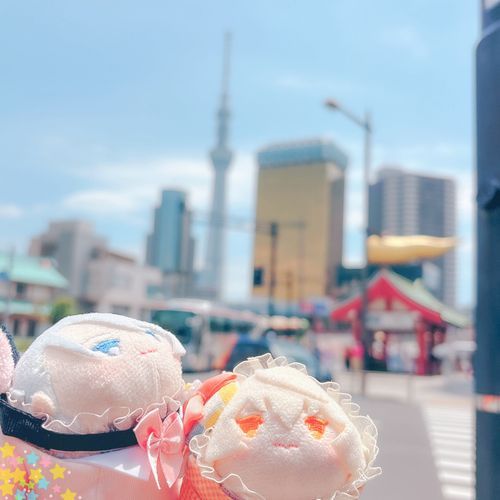 もちひげとちょぎくんがおでかけしたときのしゃしんだよ…📸あさくさすてきだね…かめじゅうのどらやきもいつかたべたいな…✨