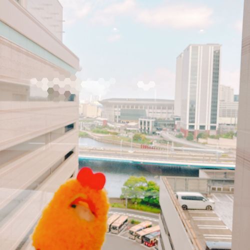 Kありーなみかけたのゃ！ことしのおまつりもたのしみなのゃ！