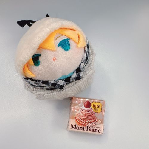 やほなのゃ🖐️もんぶらんのちろるみつけたのゃ🌰いっしょにいたもちひけが、もうくりのせきつ！？びっくり！とかいってたのゃ。おつかれですかゃ？？😀