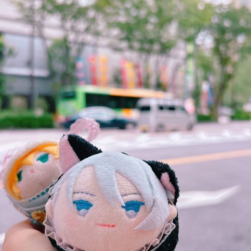 せんじつほんかのおしかつについていったのゃ！きょうもこれからおしかつなのゃ💪