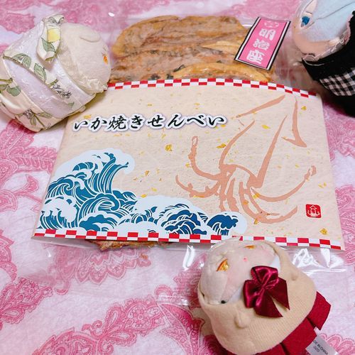 ちょぎくんがこのあいだかった、だいじないかやきせんべい…🦑あるじがちょうりにつかうといってふうをあけたの…ちょうりに…つかう…？？🤔