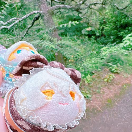 たゃなのゃ！せんじつたゃたちもみしまにいってたのゃ✌️だいしぜんをおさんぽしたら、もじどおりあぶないはしをわたったり、みたことない🐝もいてすりりんぐなたいけんをしたのゃ🥳