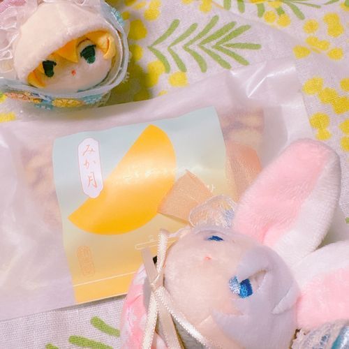 あいすすけーとのたゃたちをみながらいただいたのゃ🌙たゃたちもすいすいすべりたいのゃ〜🛼