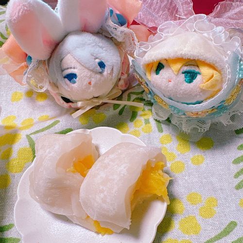 はっさくのはいっただいふく、かっとにしっぱいしたのはないしょなのゃ🤫みかんだいふくがゆうめいなおみせみたいなのゃ！またこんどかってみるのゃ🍊