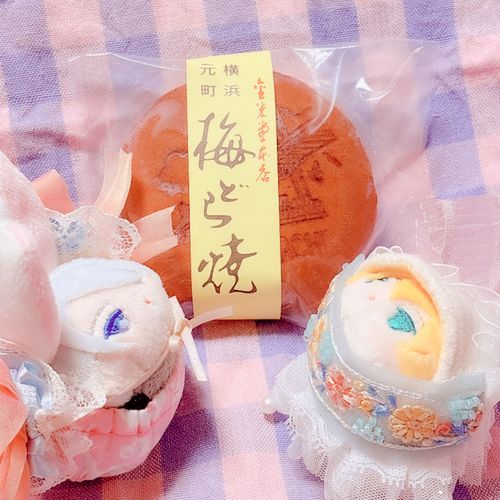 きょうはこちらなのゃ🐯うめあんかとおもったら、しろあんのまんなかにうめがはいってたのゃ☺️ずっしりどらやきでおいしいのゃ😋