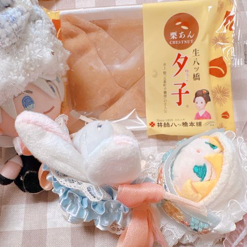 わがしねたぎれなので、わがししょうかいはこれでいったんおわりなのゃ！これはいただきもののゆうこなのゃ。ゆうこはいろんなあじがあっておもしろいのゃ✨
