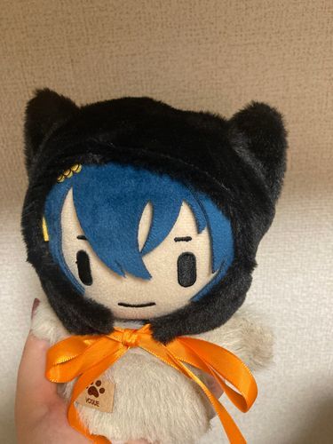 あるじが可愛くしてくれた🐈‍⬛