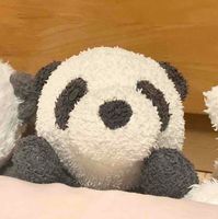 ぱんこ